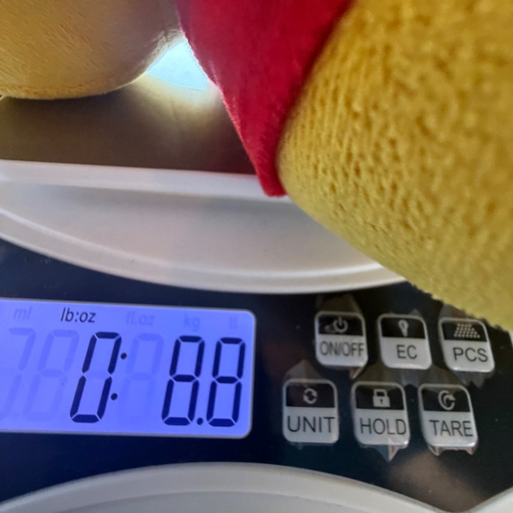 Disney Winnie the Pooh Plush Stuffed Animal Toy 12 Inch Yellow Red Classic Bear